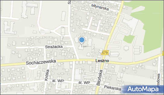 SPECJALNY OŚRODEK SZKOLNO-WYCHOWAWCZY, Sochaczewska 4, Leszno 05-084 - Szkoła, numer telefonu