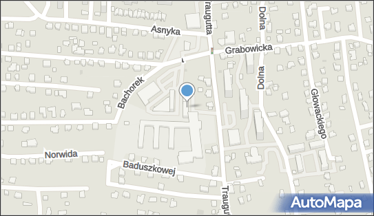 Ośrodek Doskonalenia Zawodowego, gen. Traugutta Romualda 11 43-502 - Szkolenia, Kursy, Korepetycje, godziny otwarcia, numer telefonu