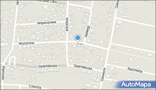 Kometa Studio Form Teatralnych E Gotszald K Kierzkowski, Wyżynna 29 92-107 - Teatr, NIP: 7282032456