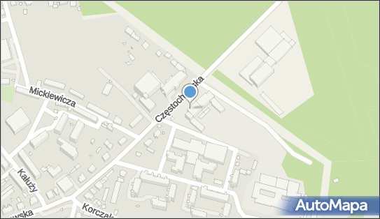 Publiczne Technikum Zespołu Szkół, Częstochowska 24, Ozimek 46-040 - Technikum, numer telefonu