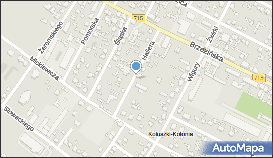 Biuro Tłumaczeń Ben Trans, ul. gen. Józefa Hallera 12, Koluszki 95-040 - Tłumacz, NIP: 7731015072