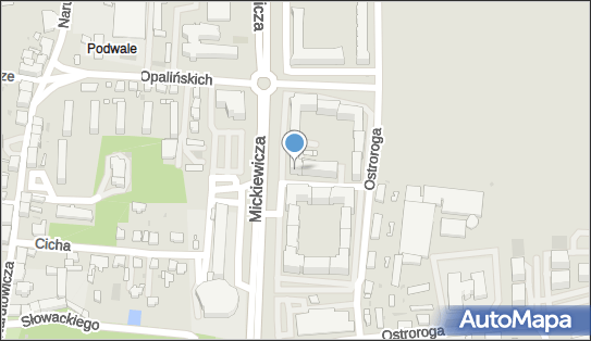 Tłumaczenia Przez Net, ul. Jana Ostroroga 42, Leszno 64-100 - Tłumacz, numer telefonu, NIP: 9570821112