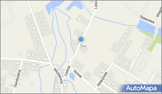 Top Market - Supermarket, Leśna 2, Zawonia 55-106