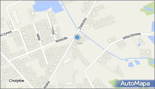 Top Market - Supermarket, Zaleska 6 Chotyłów, Piszczac 21-500