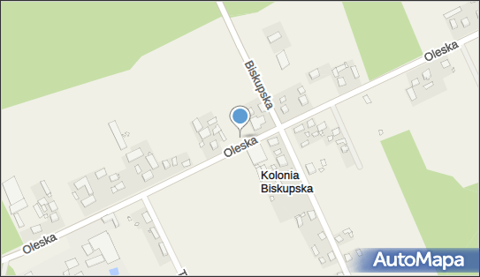 Trafostacja, Oleska 24, Kolonia Biskupska 46-331 - Trafostacja