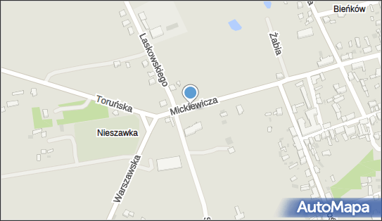 Trafostacja, Mickiewicza Adama 21A, Nieszawa 87-730 - Trafostacja