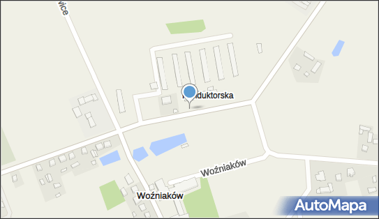 Trafostacja, Woźniaków 60, Woźniaków 99-300 - Trafostacja