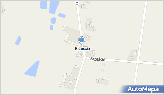 Trafostacja, Brzeście 22, Brzeście 09-130 - Trafostacja