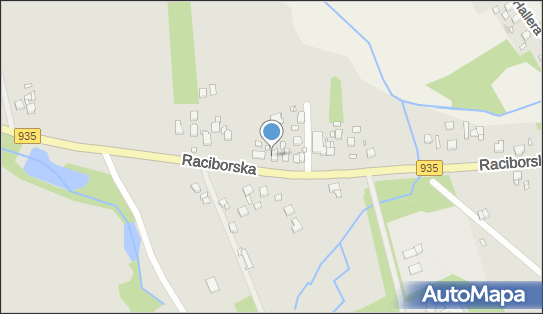 Bizon Trans, Raciborska 143, Rydułtowy 44-280, numer telefonu