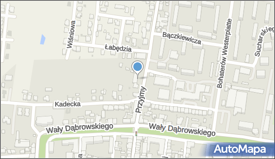 Ubezpieczenia Rawicz Tomasz Dąbrowicz, Przyjmy Przyjemskiego 7 63-900 - Ubezpieczenia, godziny otwarcia, numer telefonu