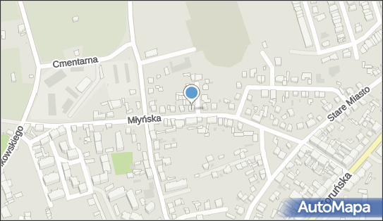 Autonaprawa, Młyńska 28, Inowrocław - Warsztat naprawy samochodów, numer telefonu