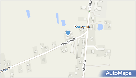 Sklep Spożywczo Przemysłowy, Kruszynek 27, Kruszynek 87-853 - Warzywno-owocowy - Sklep, NIP: 8882594192