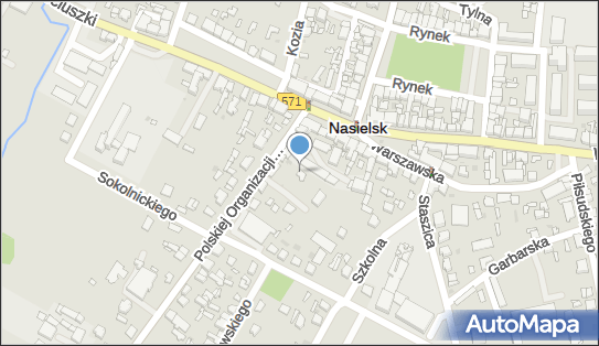 Gabinet Weterynaryjny Adam Zalewski, Nasielsk 05-190 - Weterynarz, NIP: 5680004174