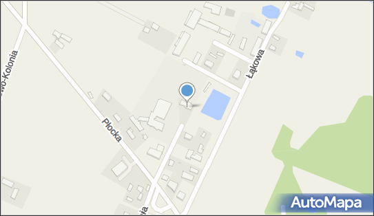 Gabinet Weterynaryjny- Wojciech Bryczkowski, ul. Szkolna 5 09-454 - Weterynarz, NIP: 6262097825