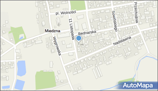 Gabinet Weterynaryjny, ul. 11 Listopada 1, Miedzna 07-106 - Weterynarz, NIP: 8241361531