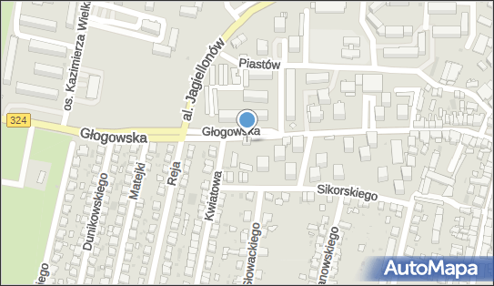 Lecznica dla zwierząt, Głogowska 53, Góra - Weterynarz