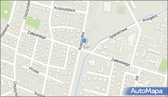 5691835513, Małgorzata Chmielińska Centrum Weterynaryjne Centaur 
