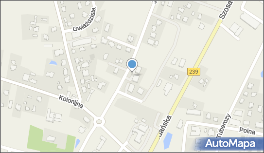 Przychodnia Weterynaryjna CHIRON o. Osielsko, Jana Pawła II 34 86-031 - Weterynarz, godziny otwarcia, numer telefonu