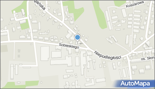 9241039793, Usługi Lekarsko-Weterynaryjne Kwapisz Zbigniew 