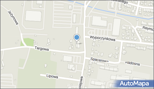 Usługi Weterynaryjne, ul. Targowa 1/1, Nowy Tomyśl 64-300 - Weterynarz, NIP: 7881103642