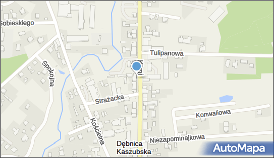 Żabka - Sklep, ks. Antoniego Kani 20/1, Dębnica Kaszubska 76-248, godziny otwarcia