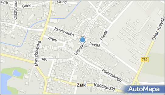 Bramora Henry, Leśniowska 4, Żarki - Zakład optyczny, numer telefonu