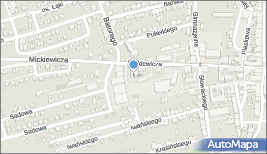 Visus optyk, Adama Mickiewicza 26, Wadowice 34-100 - Zakład optyczny, godziny otwarcia, numer telefonu