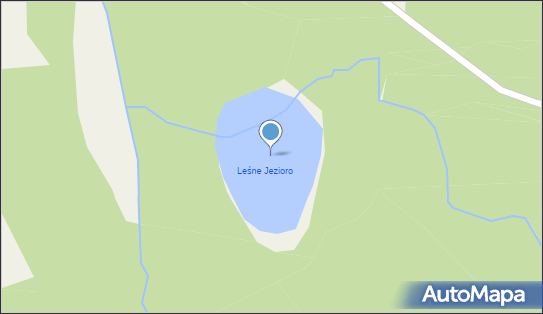Leśne Jezioro, Salino, Salino 84-250 - Zbiornik wodny