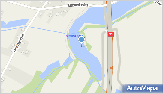 staw Nysna, Bestwińska, Stara Wieś 43-330 - Zbiornik wodny