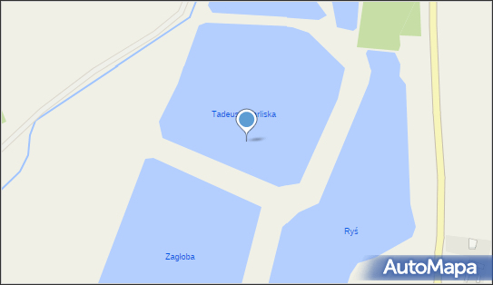 staw Tadeusz, Kolonia Topornica - Zbiornik wodny