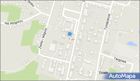 Zespół Szkół Zawodowych, Grunwaldzka 9, Nowe Miasto Lubawskie 13-300 - Zespół Szkół i Placówek Oświatowych, numer telefonu