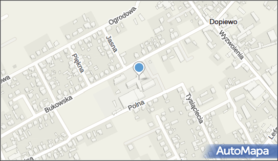 Zespół Szkolno-Przedszkolny Im. Jana Brzechwy, Bukowska 13 62-070 - Zespół Szkół i Placówek Oświatowych, numer telefonu