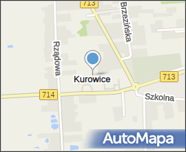 2008-02 Kurowice 2