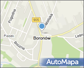 Boronów Dwór widok