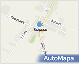 Brzuśce 006