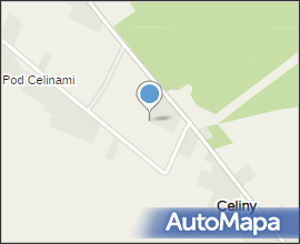 Celiny - road