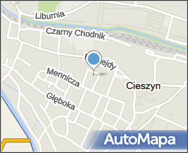 Cieszyn 91