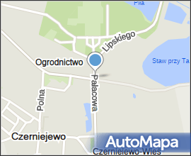 Czerniejewo, most