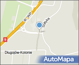 F-16 Solo Display Team Radom 2009 d