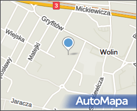 Ford Focus Policja Wolin