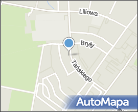 Jelcz-Laskowice-palac wejscie