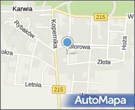 Karwia - Złota Street 01