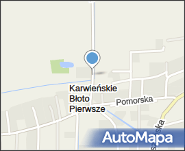 Karwieńskie Błoto Pierwsze - Dam 01