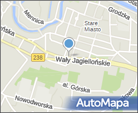 Kazimierz Wielki zmierzch c