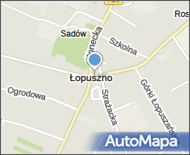 Kosciol Lopuszno 2004 07