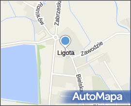 Ligota k. Czechowic 006