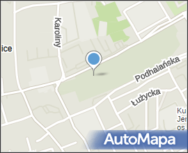 Magik Łuszcz pomnik 001