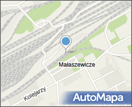 Malaszewicze-08051118