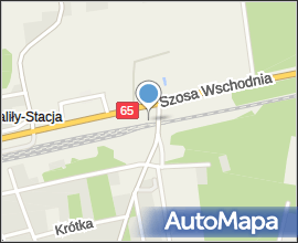 Podlaskie - Grodek - Walily-Stacja - Walily train station - tracks vw. from xing