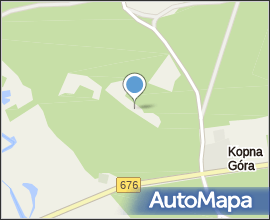 Podlaskie - Suprasl - Kopna Gora - Arboretum - Chamaecyparis pisifera &#039;Plumosa Aurea Compacta&#039;